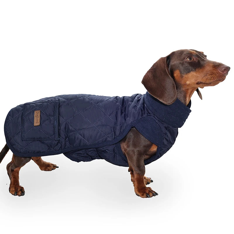 Quilted Winter Coat for Dachshunds - Navy Blue / S