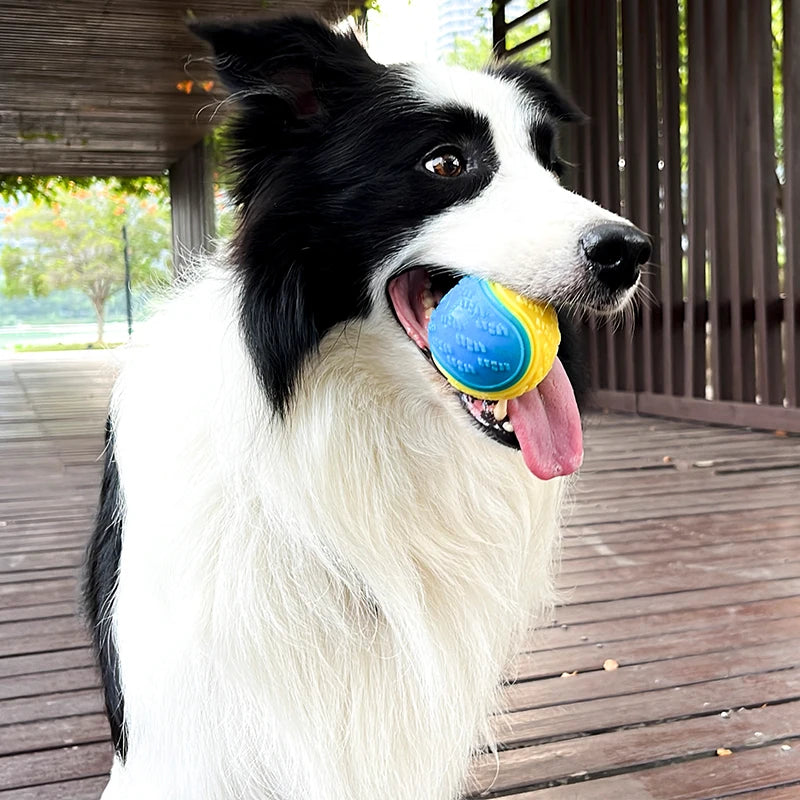 Squeaky TPR Dog Ball