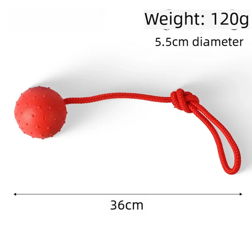Ball on a Rope Dog Toy