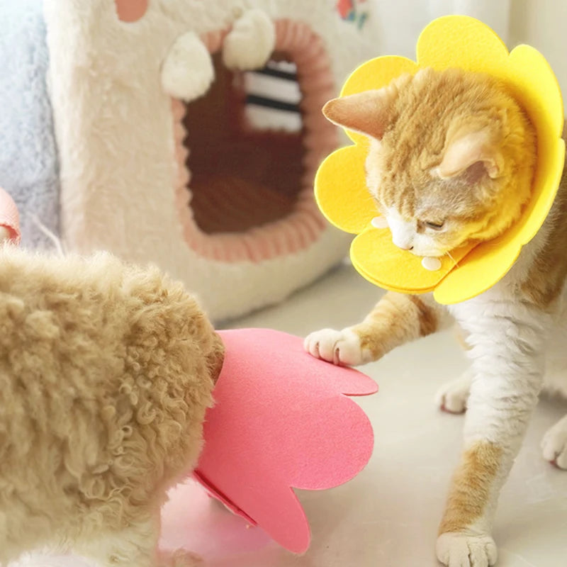 Soft Flower Recovery Collar for Cats and Small Dogs