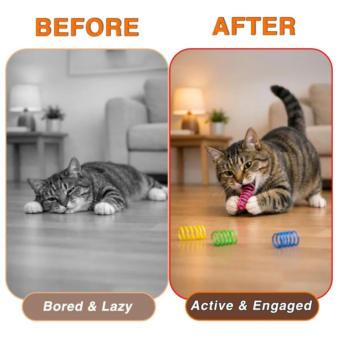 Coil Spring Cat Toys, Pack of 12
