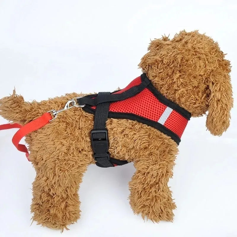 Mesh Cat Harness and Lead Set