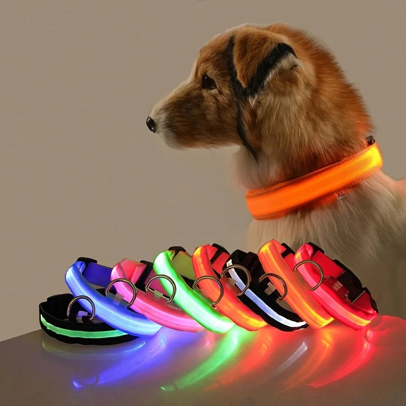 LED Light-Up Dog Collar, Flashing Night Safety Collar