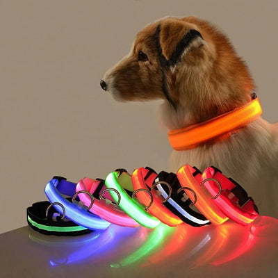 LED Light-Up Dog Collar, Flashing Night Safety Collar