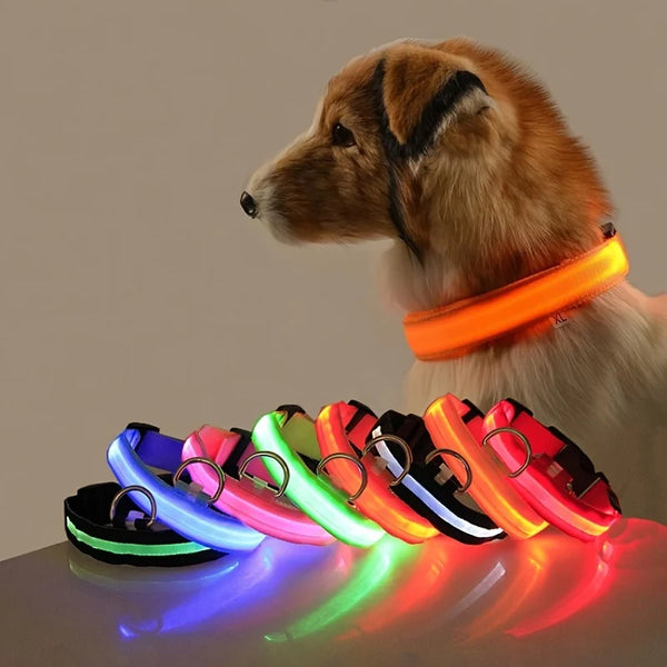 LED Light-Up Dog Collar, Flashing Night Safety Collar