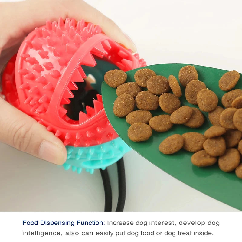 Suction Cup Tug Toy with Treat Ball