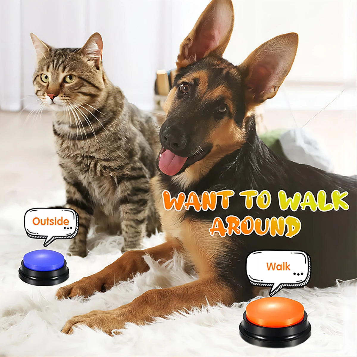 Recordable Talking Button for Dogs