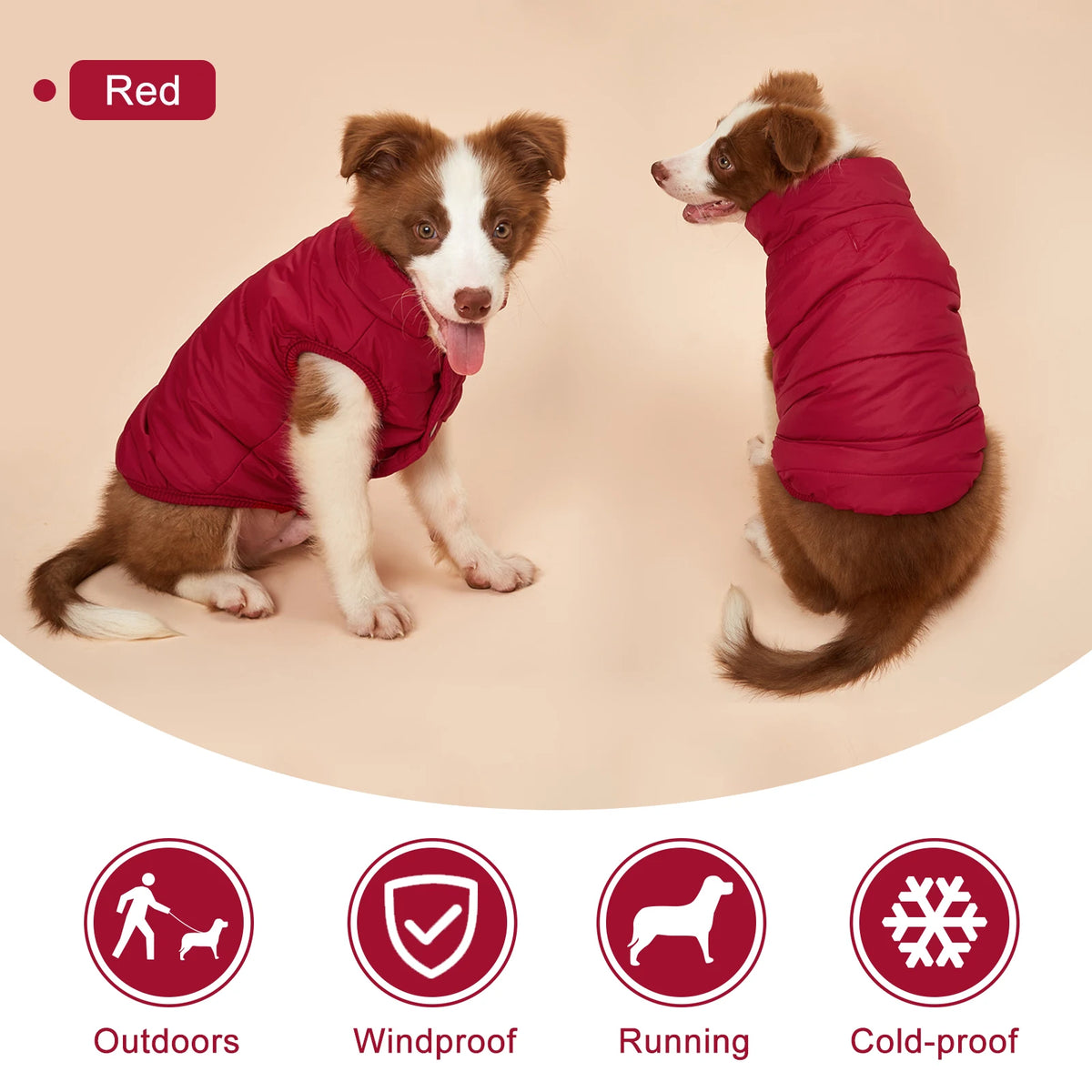 Fleece-Lined Winter Dog Jacket