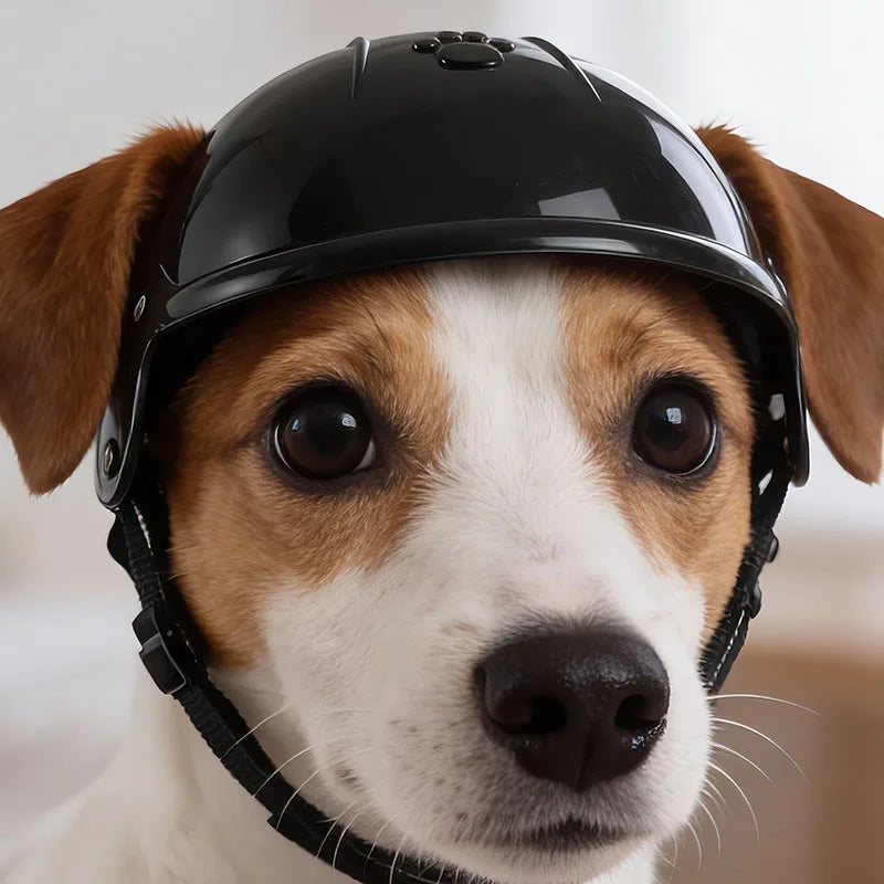 Motorbike Helmet for Dogs and Cats