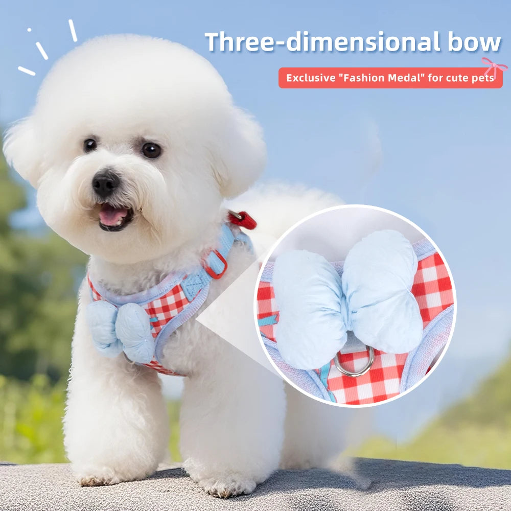 Check Harness and Lead Set with Bow