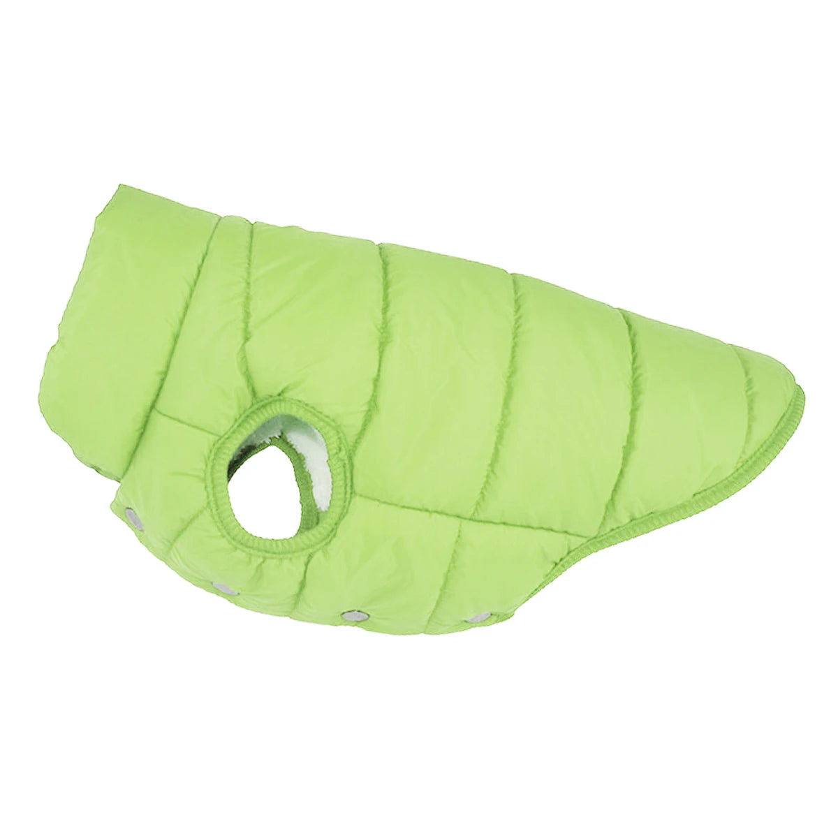 Fleece-Lined Winter Dog Jacket - Green / XS