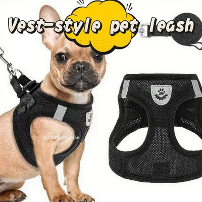 Mesh Cat Harness and Lead Set