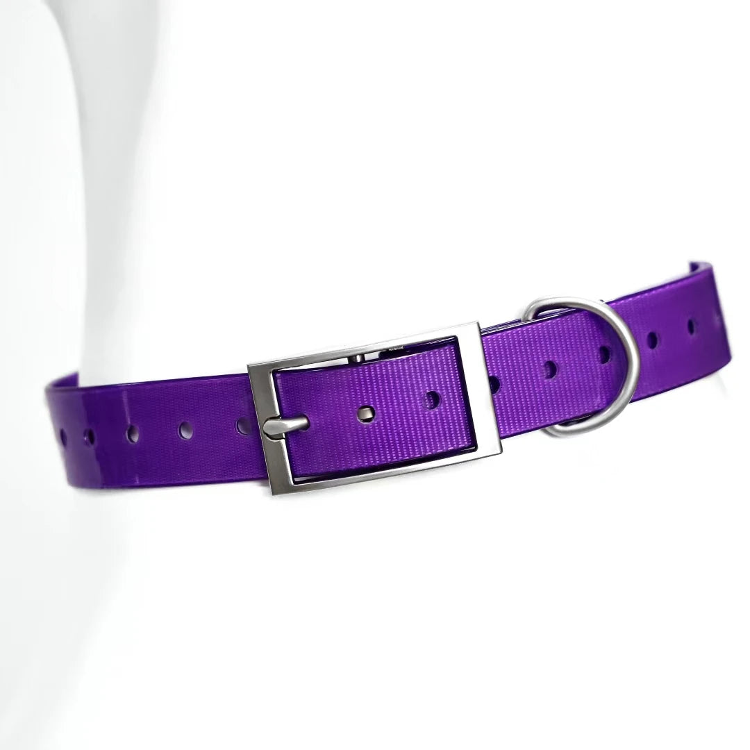 Waterproof TPU Dog Collar - Purple