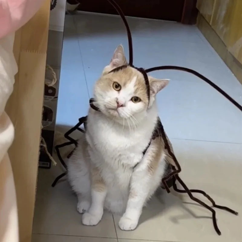 Cockroach Costume for Cats
