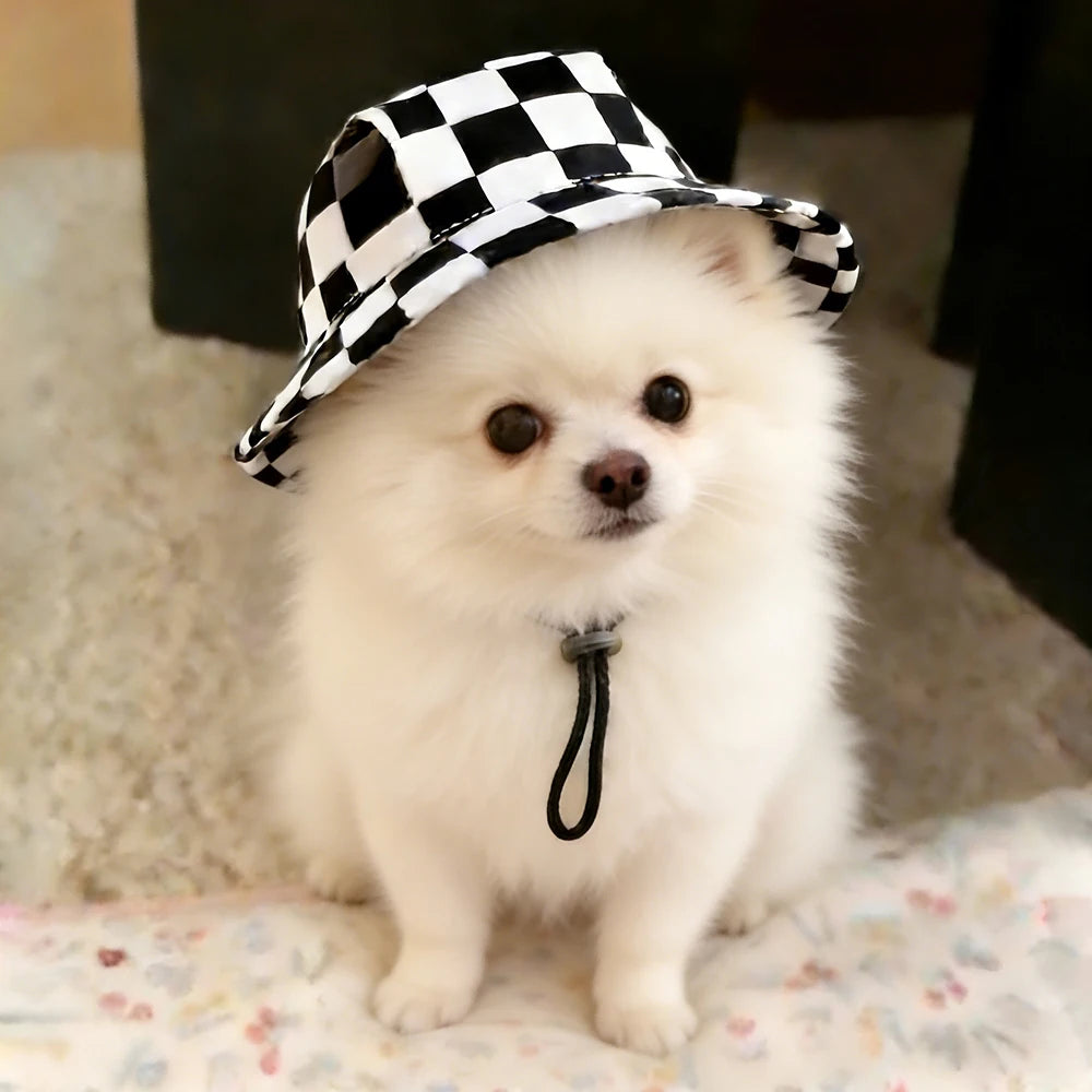Printed Sun Cap for Dogs