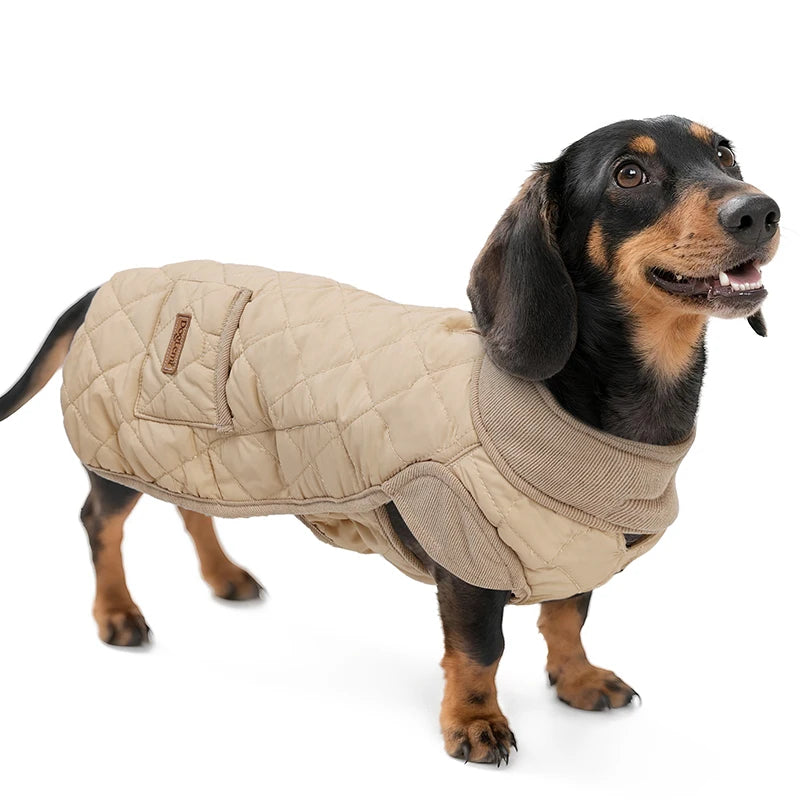 Quilted Winter Coat for Dachshunds - Beige / S