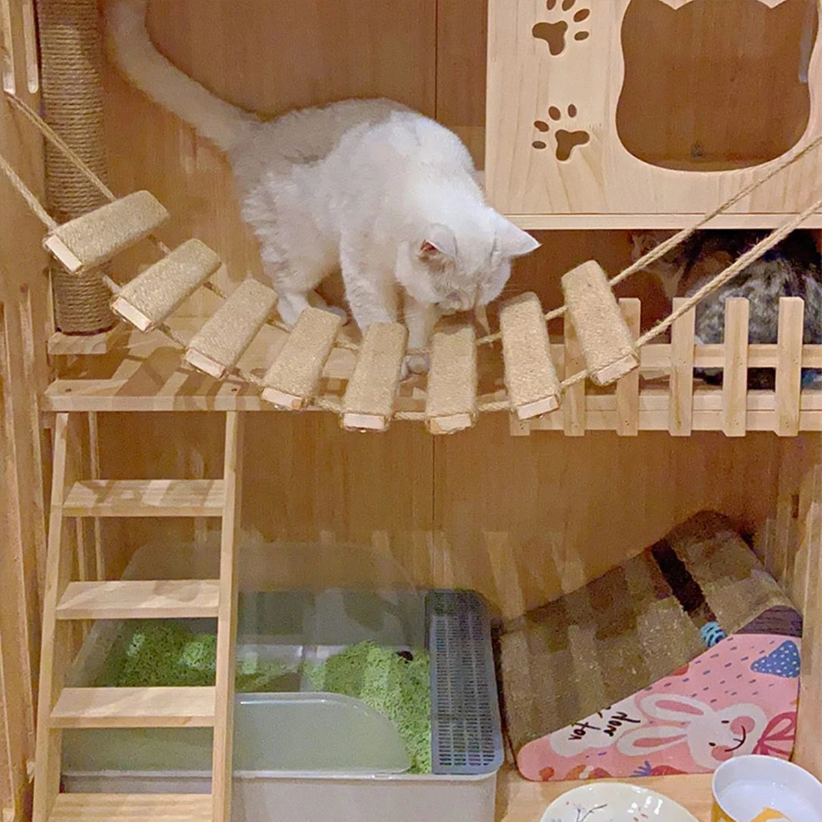 Wooden Cat Ladder Bridge