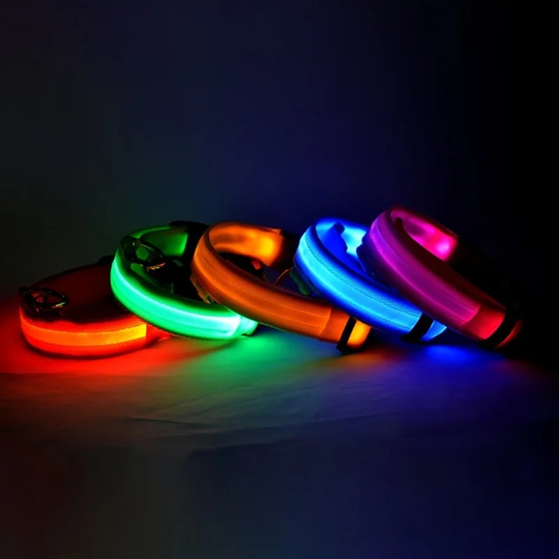 LED Light-Up Dog Collar, Flashing Night Safety Collar