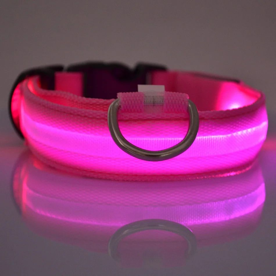 LED Light-Up Dog Collar, Flashing Night Safety Collar