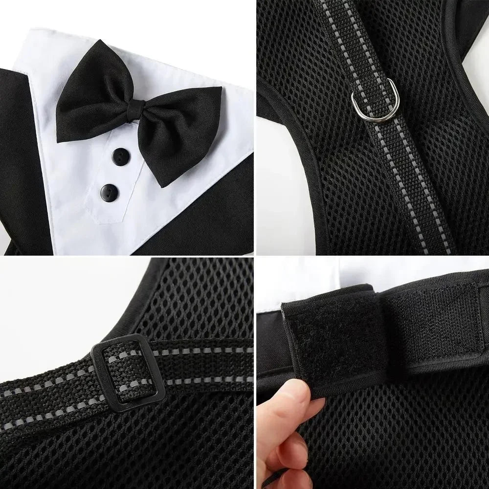 Tuxedo Dog Harness