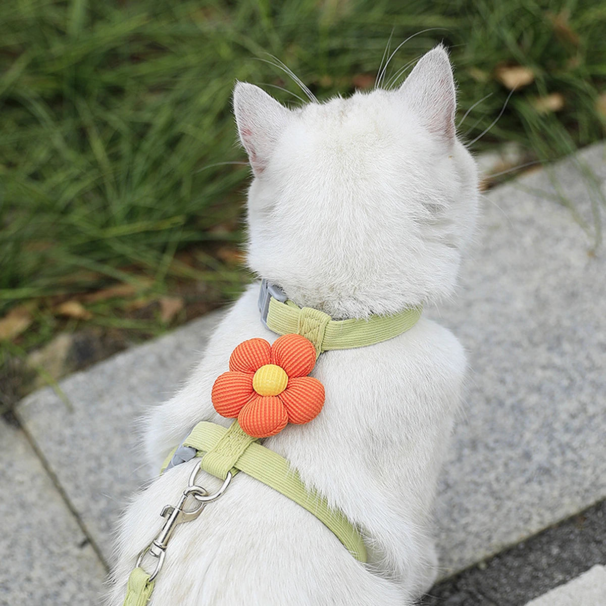 Cute Harness and Lead Set for Cats and Small Dogs - Green / M