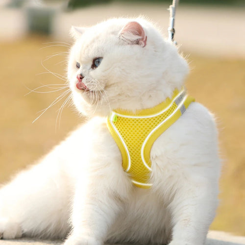 Breathable Mesh Vest Harness with Lead