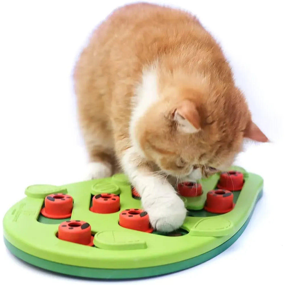 Cat Treat Puzzle Board