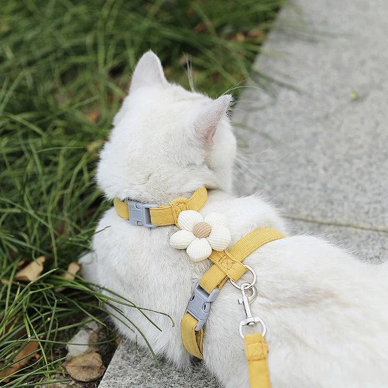 Cute Harness and Lead Set for Cats and Small Dogs