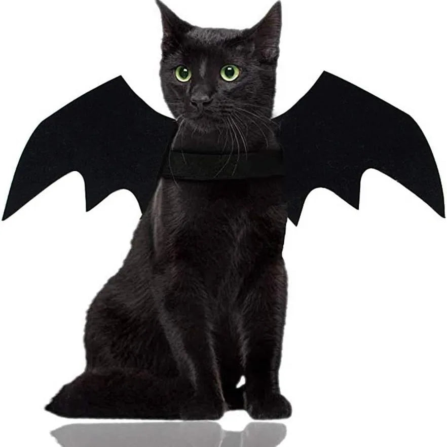 Bat Wings Halloween Costume for Cats and Small Dogs