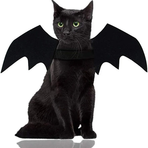 Bat Wings Halloween Costume for Cats and Small Dogs