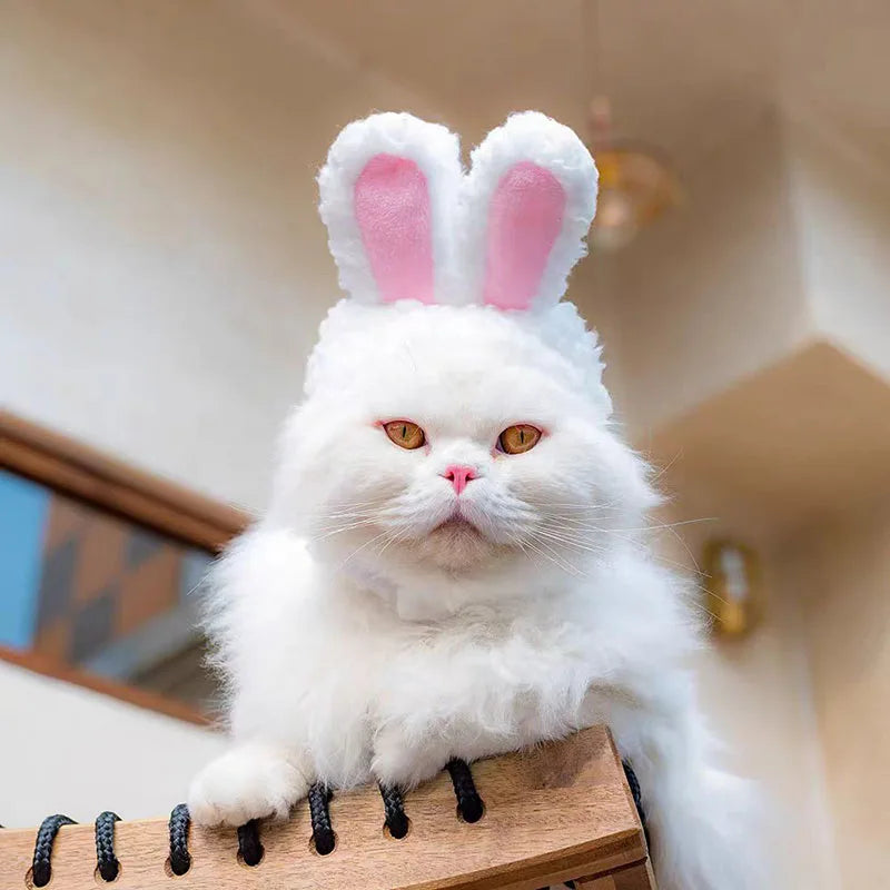 Bear and Bunny Hood Hat for Cats