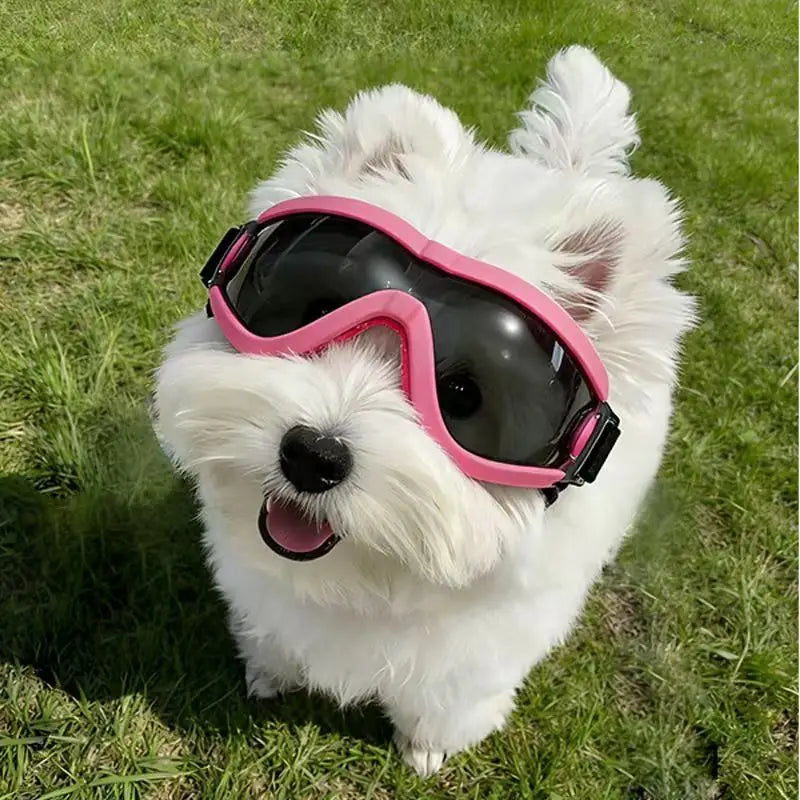 Dog Goggles with UV Protection