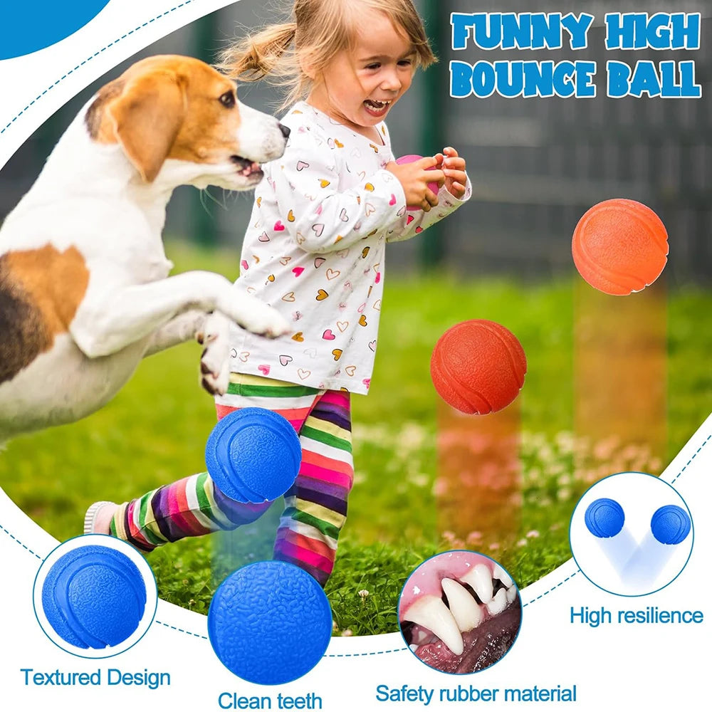 Solid Rubber Fetch Ball
