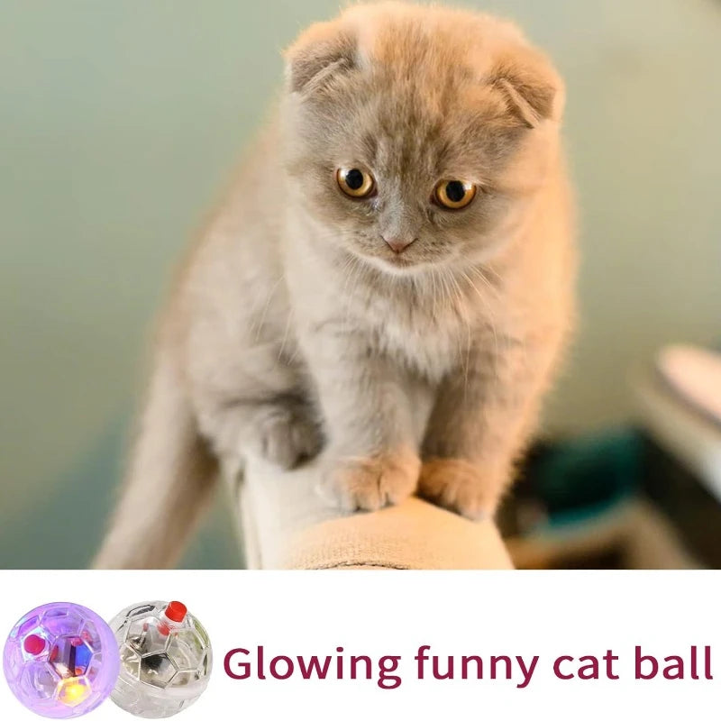 Light-Up Ball Cat Toy