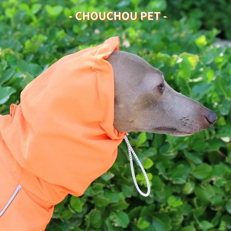 Raincoat for Greyhounds and Whippets