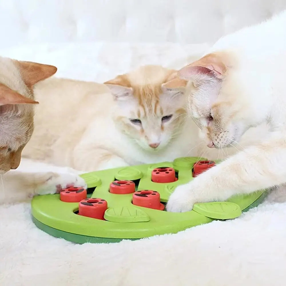 Cat Treat Puzzle Board