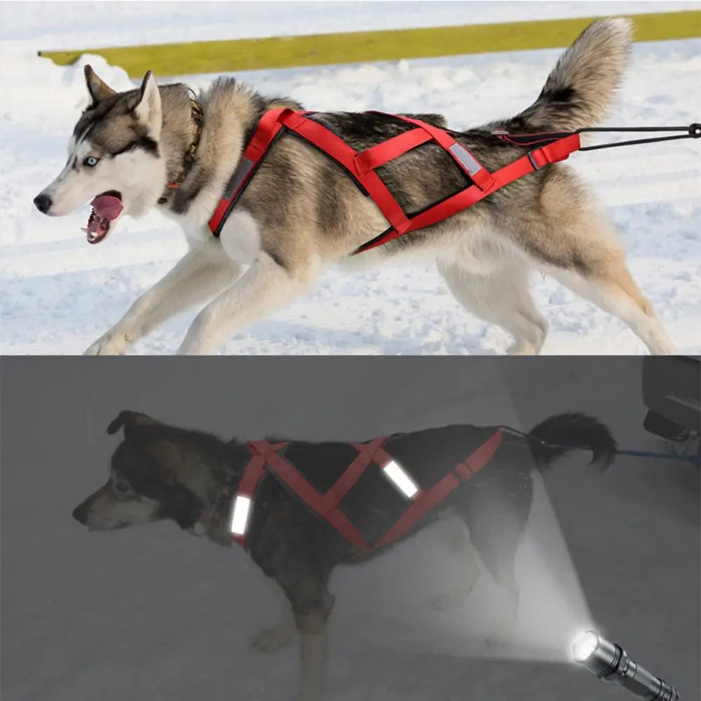 Sled and Canicross Pulling Harness