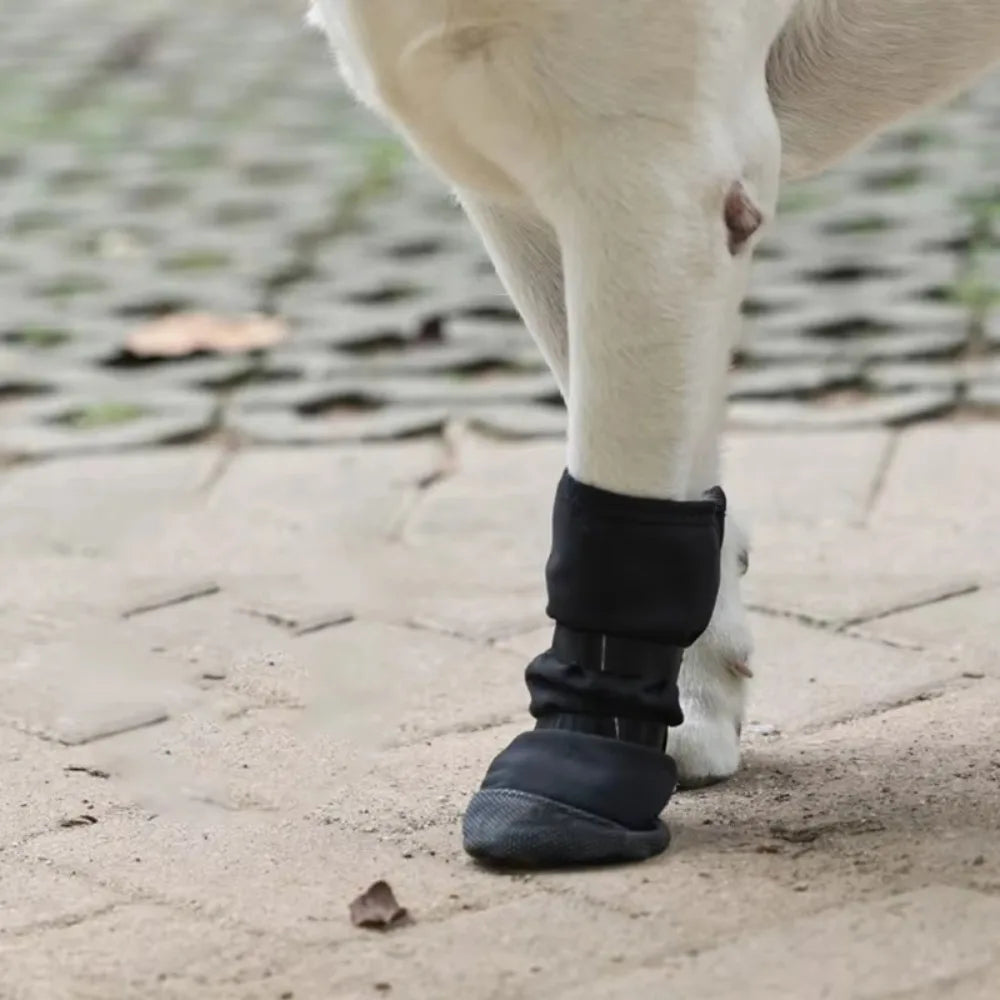 Recovery Boot for Dogs