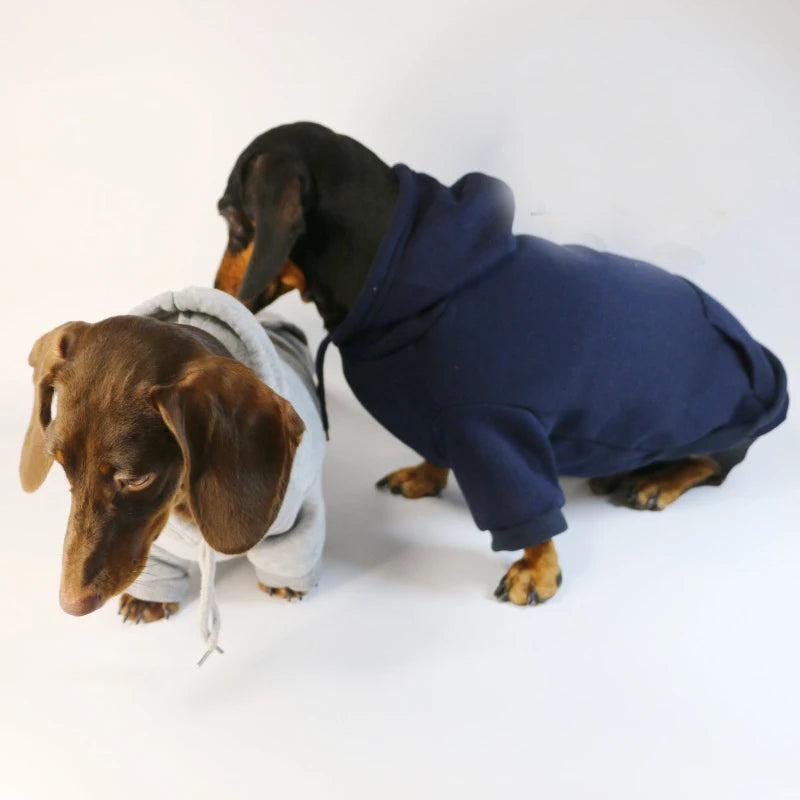 Hoodie for Dachshunds