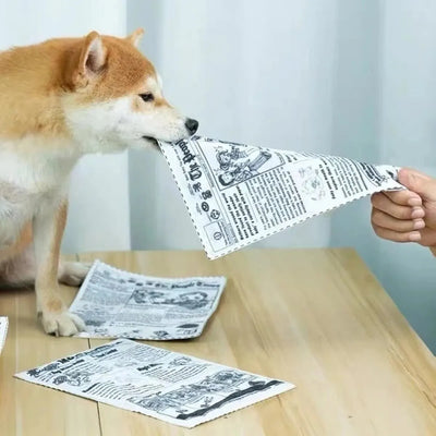 Crinkle Newspaper Dog Toy