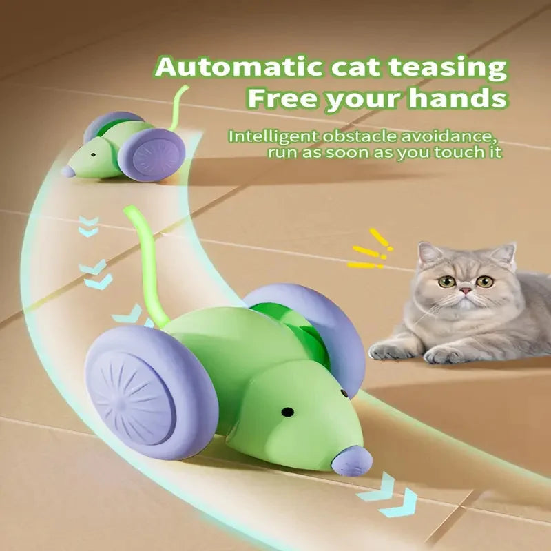 Smart Rolling Teaser Ball Cat Toy