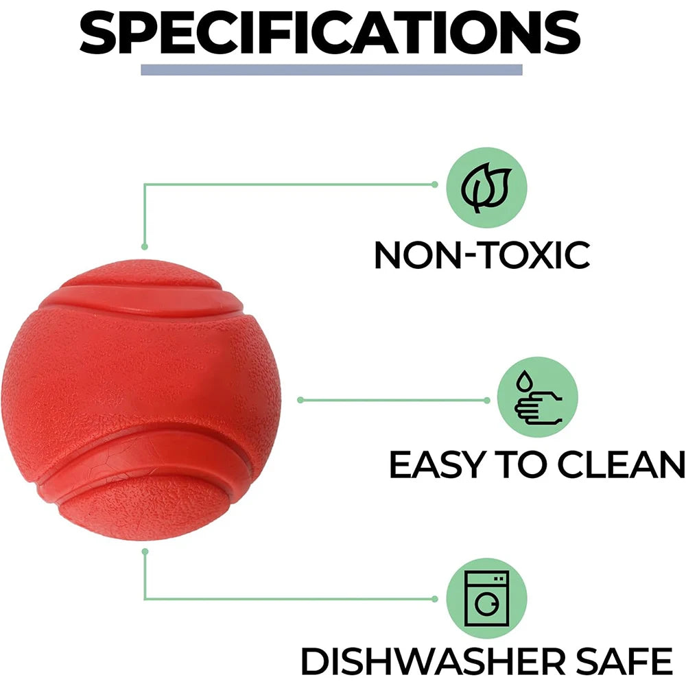 Solid Rubber Fetch Ball