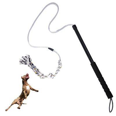 Flirt Pole Dog Toy