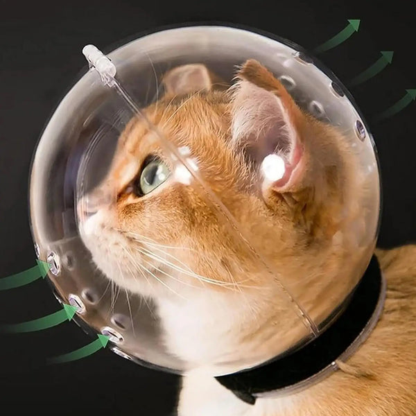 Clear Bubble Grooming Helmet for Cats