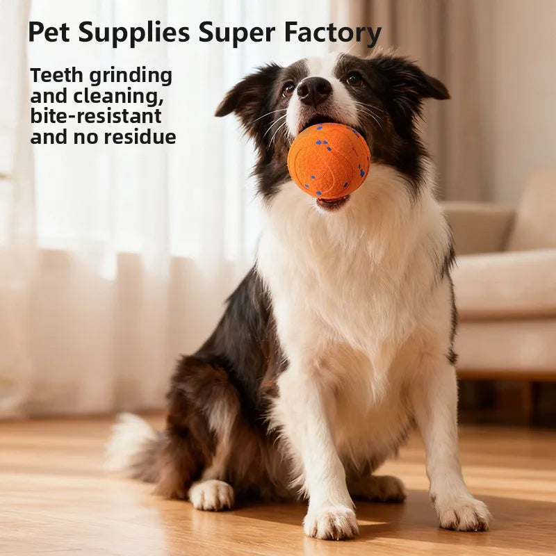 Rechargeable Rolling Ball Dog Toy