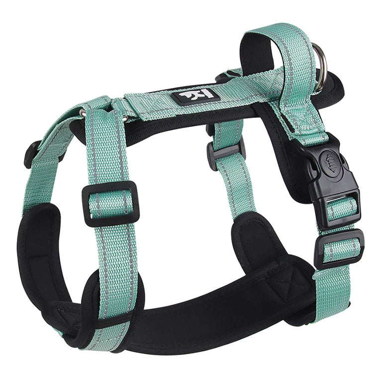 Padded Dog Harness with Handle, Lead Option - Green / S