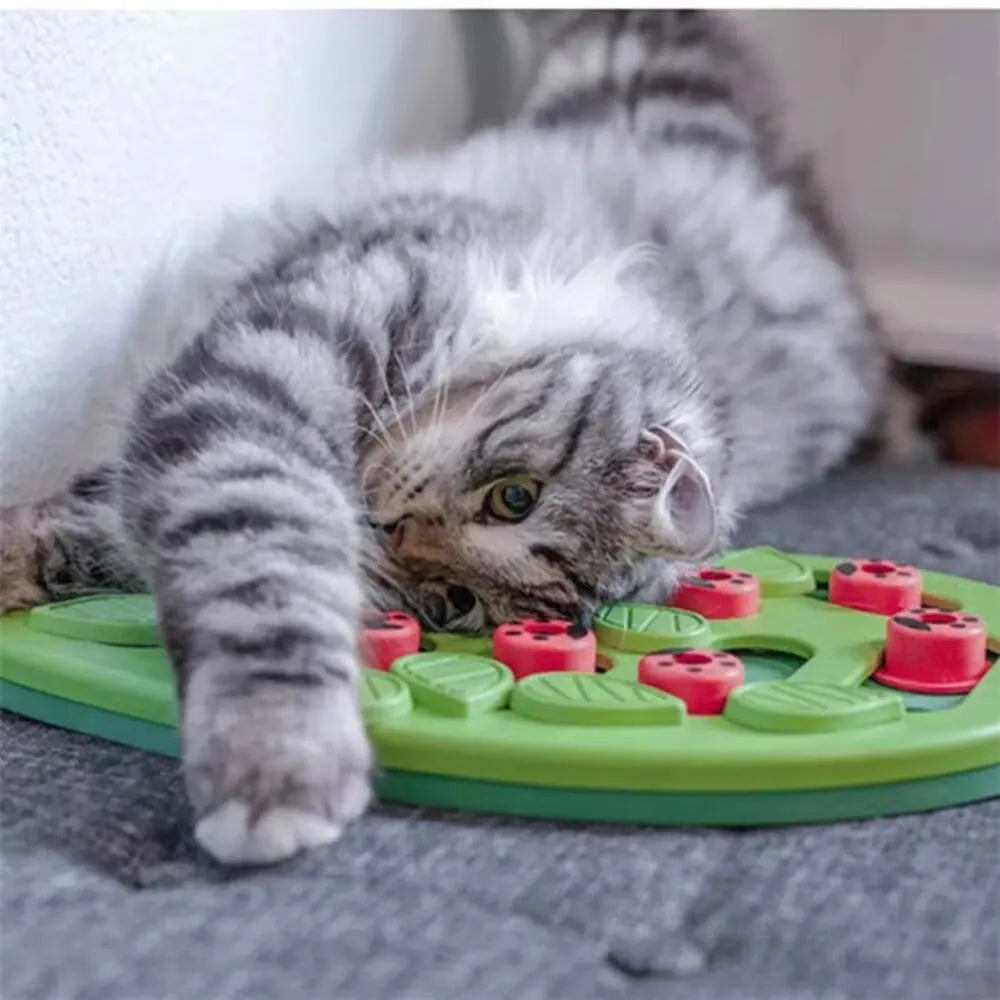 Cat Treat Puzzle Board