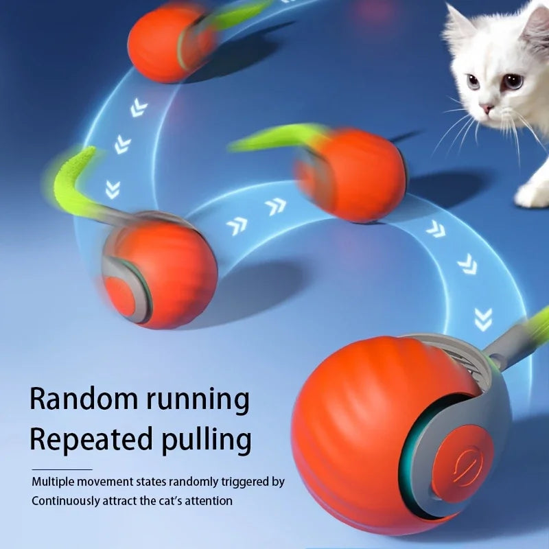 Smart Rolling Teaser Ball Cat Toy