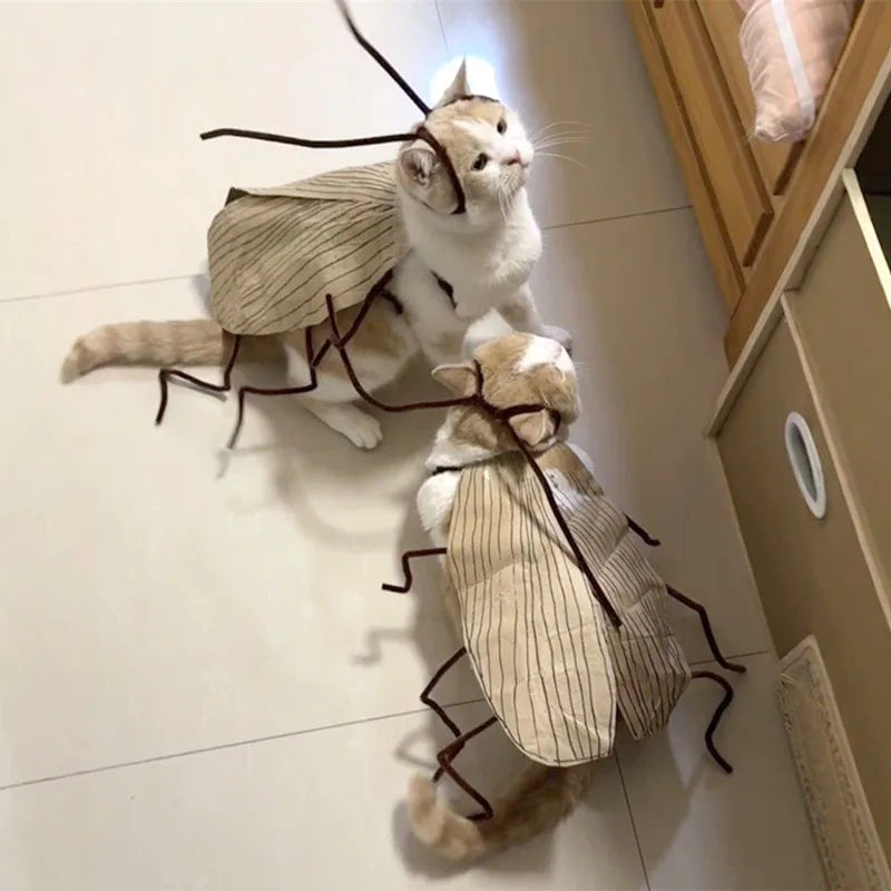 Cockroach Costume for Cats