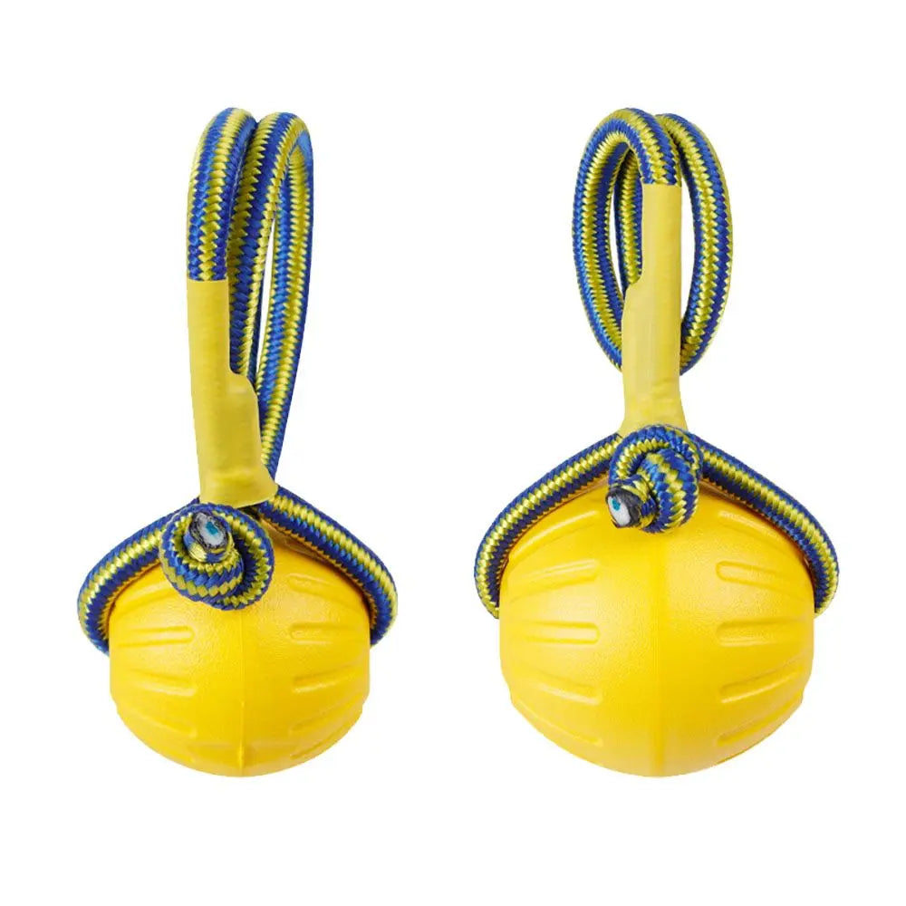 Rubber Ball on a Rope for Dogs